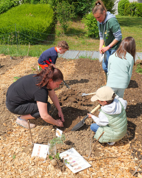 Group of adults and children planting seedlings in a garden bed on a sunny day.