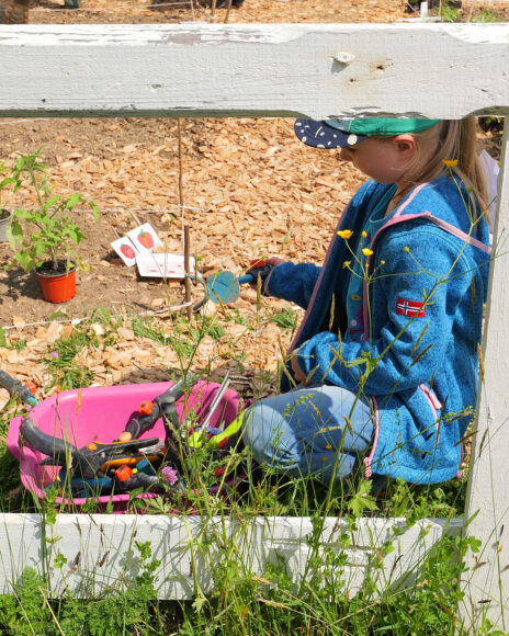 Girl in a blue jacket and cap sits beside a pink tub filled with toy gardening tools, playing in a sunny garden area.